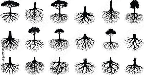 Flat vector silhouette set of trees with visible root systems, diverse canopy shapes, forest elements, botanical illustration, nature design, environment