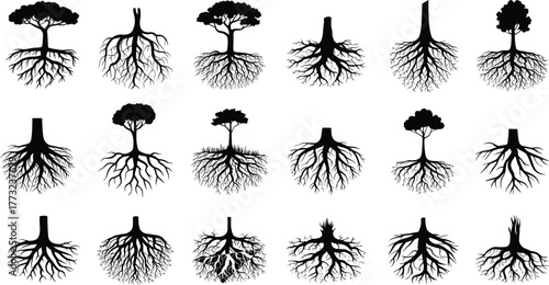 Flat vector silhouette set of trees with visible root systems, diverse canopy shapes, forest elements, botanical illustration, nature design, environment