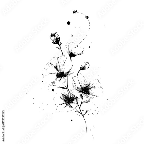 Elegant floral arrangement featuring cosmos flowers in a delicate black and white ink style drawing design