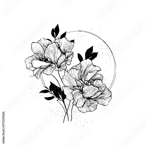 Detailed line drawing of two flowers with leaves and a partial circle in the background art style