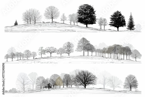 A panoramic vector illustration showcasing a diverse collection of deciduous and evergreen trees on rolling hills.