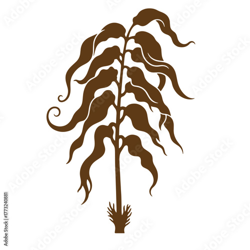 Brown silhouette of kelp seaweed illustrative vintage art design on white background