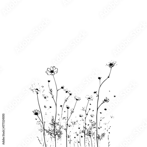 A simple monochrome illustration of a field of cosmos flowers with delicate stems and petals design