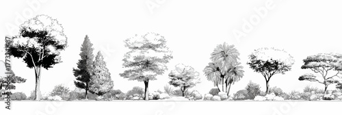 A detailed black and white vector illustration showcasing a diverse collection of hand-drawn trees and bushes, perfect for architectural landscape designs.