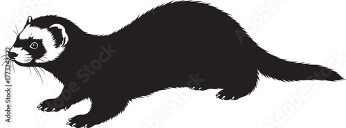 Black silhouette of a ferret on white isolated background for various design needs