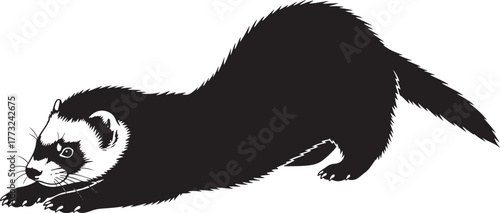 Black silhouette of a playful ferret stretching its body in a dynamic pose capturing its agility and curious nature