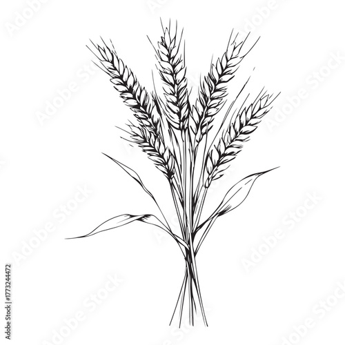 wheat silhouette