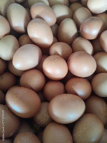 Fresh Brown Chicken Eggs – Organic Food Background