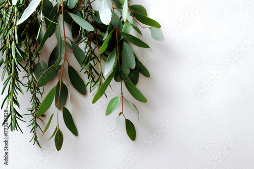Eucalyptus and Rosemary: Minimalist Green Foliage Border