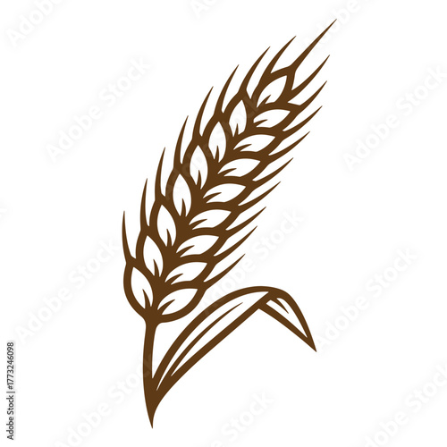 Elegant simple illustration of a brown wheat spike for vintage art designs and branding