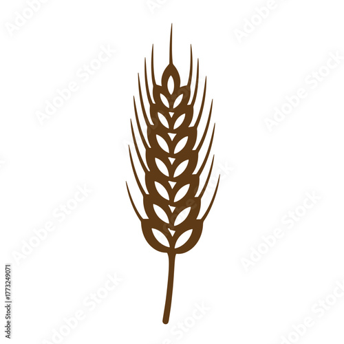 Simple and elegant wheat spike illustration in a vintage art style perfect for food design
