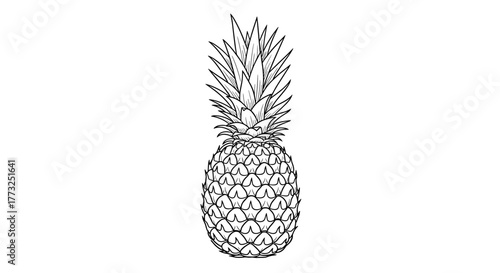 Illustration of a pineapple