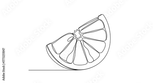 Orange slice in a continuous line drawing
