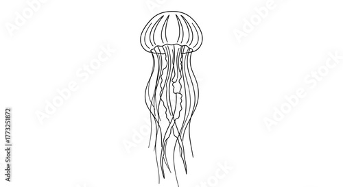 Delicate jellyfish gracefully floating in the ocean