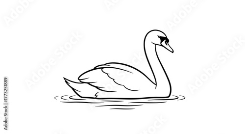 Elegant swan gracefully gliding on the water