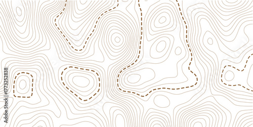Topographic map lines background. Abstract vector illustration. Vector illustration.