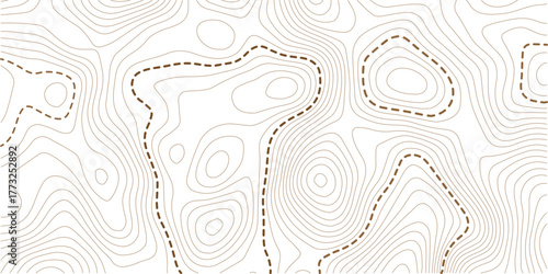 Topographic map lines background. Abstract vector illustration. Vector illustration.