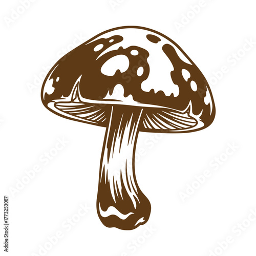 Vintage art illustration of a detailed brown mushroom on white background