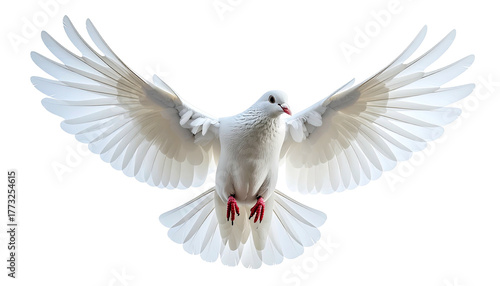 White dove soaring, wings spread wide, against a dark background