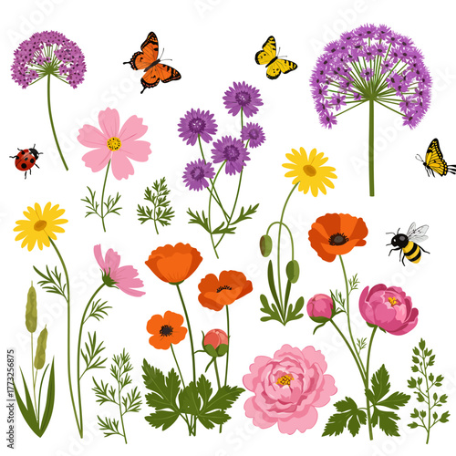 Meadow and Garden Flowers Set with Poppies, Peonies, and Pollinators