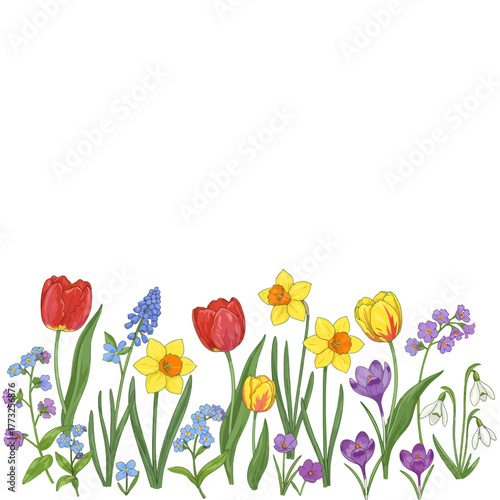 Colorful Spring Flowers Border Illustration with Tulips, Daffodils, Crocuses, and Copy Space