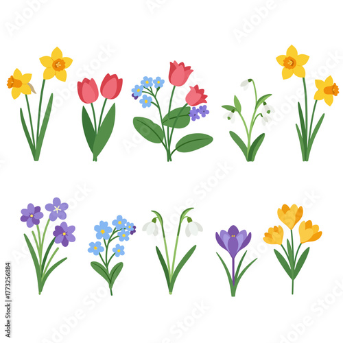 Flat Design Set of Spring Flowers: Daffodils, Tulips, Crocuses, and Snowdrops