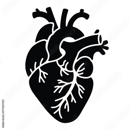 Stylized black silhouette of a human heart with arteries