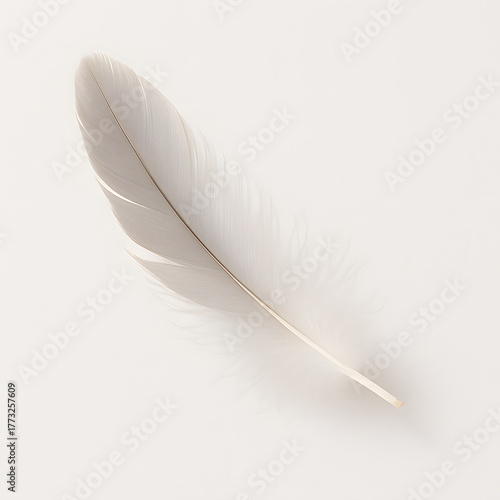 feather on white