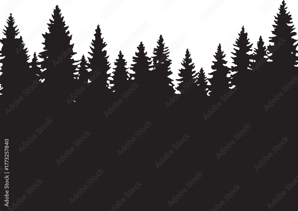 Fototapeta premium Evergreen Trees Forest Silhouettes