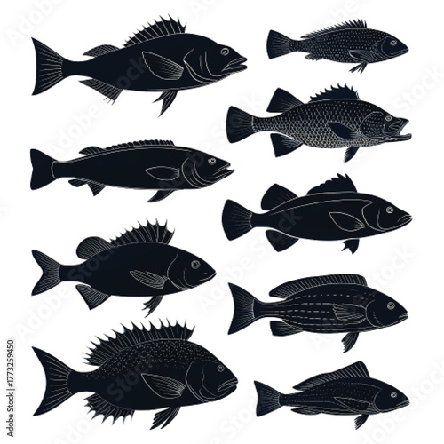 Collection of dark silhouettes of various fish on a remove background