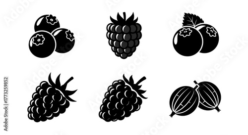 Assortment of berries in black and white isolated on white background, including blueberries, raspberries, and gooseberries