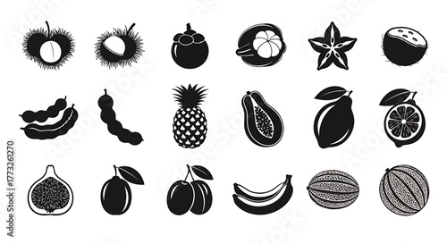 Assortment of tropical fruit icons isolated on white background representing healthy eating and nutrition