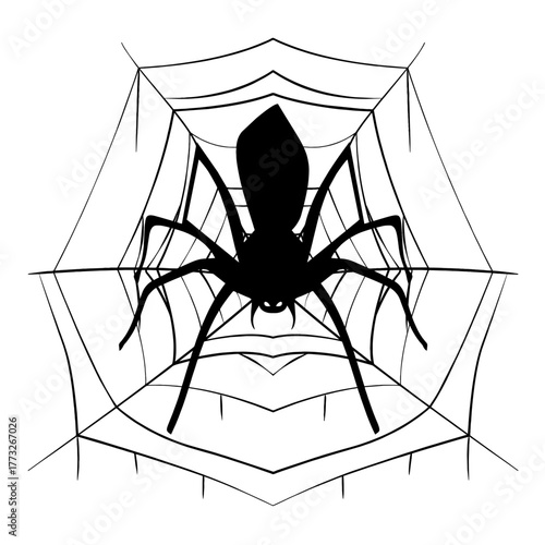 Black silhouette vector illustration of a creepy arachnid spider on a cobweb for Halloween and phobia concepts