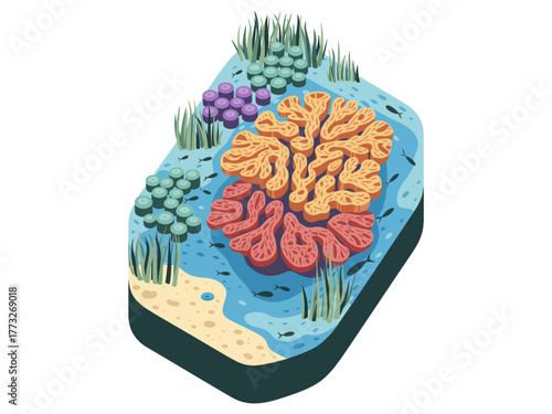 Isometric coral reef tile, branching corals and sponges, sandy seabed, vibrant marine habitat, ocean education asset, vector illustration