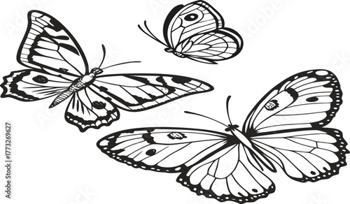 A colorful set of butterflies and moths with detailed wings and patterns as an isolated vector illustration of nature's beauty