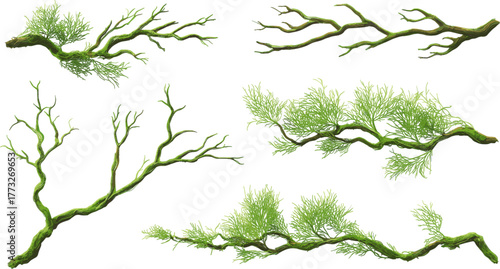 Set of tree branches with clipping paths