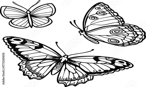 set of butterflies