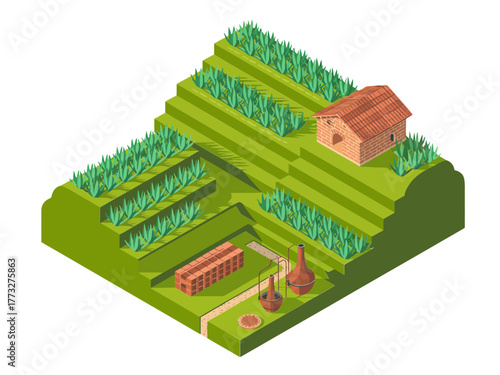 Terraced hillside agriculture, layered fields with vegetable beds, small barn on slope, sustainable farming landscape, isometric vector design