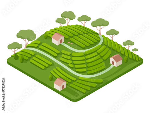 Mountain terraces landscape, layered fields with farm huts, winding ridge path, trees around, rural agriculture scene, isometric vector
