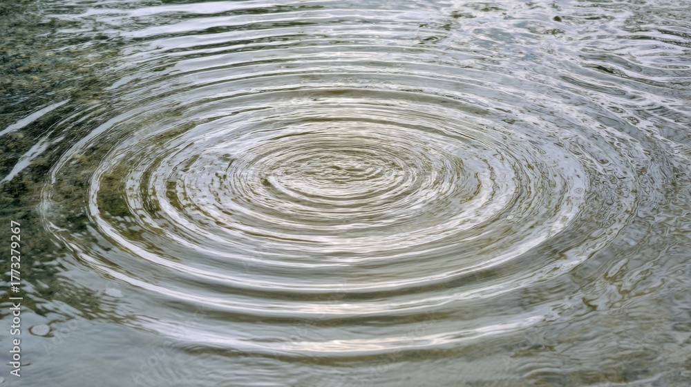 Fototapeta premium A circular ripple effect in water created by a dropped object,