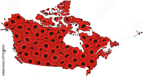 Canadas Remembrance Day - A Poppy-Filled Tribute to Veterans.