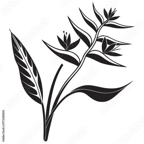 Heliconia Flower Art with Tropical Leaves