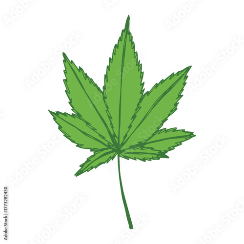 Hand drawn cannabis leaf Medicine marijuana Hemp leaves clipart in doodle style Single element for print, web, design, decor