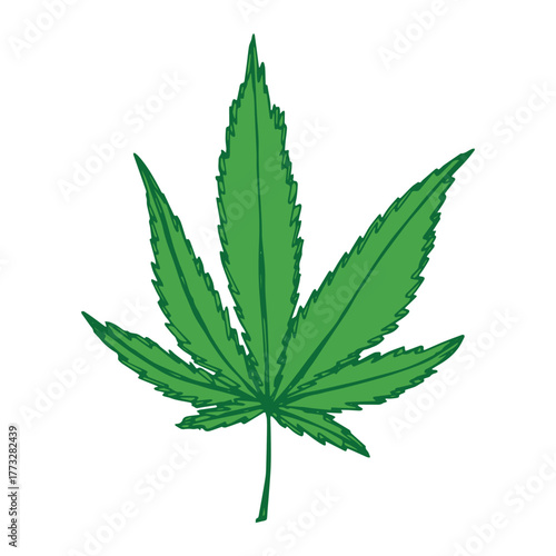 Hand drawn cannabis leaf Medicine marijuana Hemp leaves clipart in doodle style Single element for print, web, design, decor