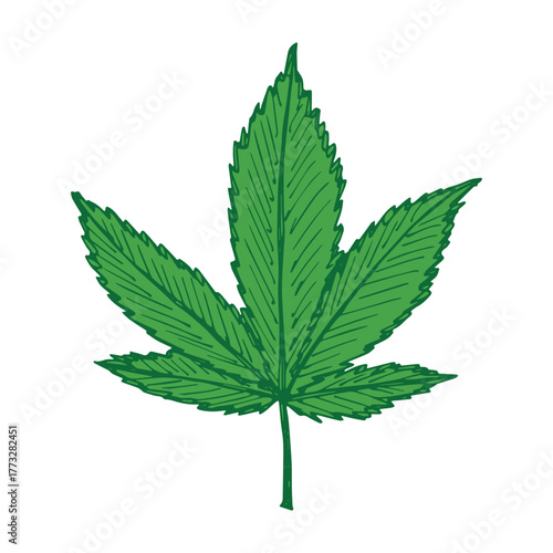 Hand drawn cannabis leaf Medicine marijuana Hemp leaves clipart in doodle style Single element for print, web, design, decor