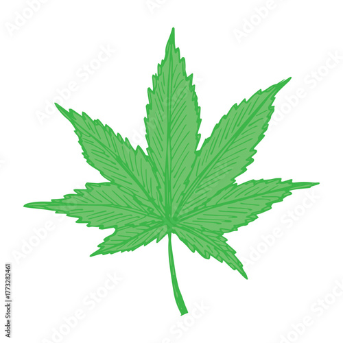 Hand drawn cannabis leaf Medicine marijuana Hemp leaves clipart in doodle style Single element for print, web, design, decor