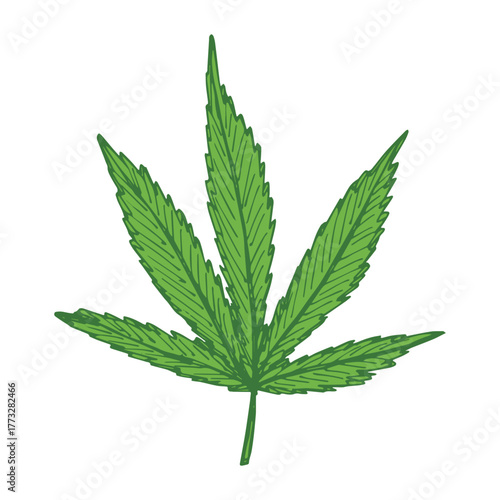 Hand drawn cannabis leaf Medicine marijuana Hemp leaves clipart in doodle style Single element for print, web, design, decor