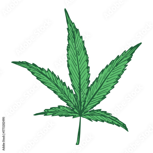 Hand drawn cannabis leaf Medicine marijuana Hemp leaves clipart in doodle style Single element for print, web, design, decor