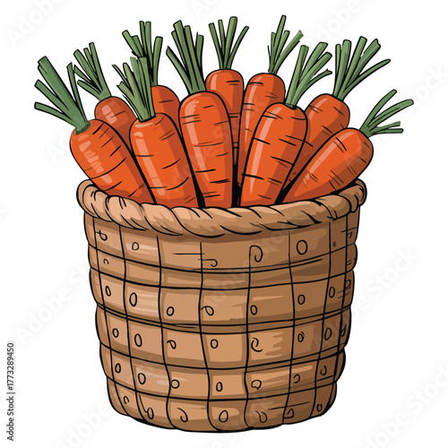 Illustration of a basket of carrots vector artwork perfect for healthy food organic vegetable farm fresh produce or grocery product themed creative design