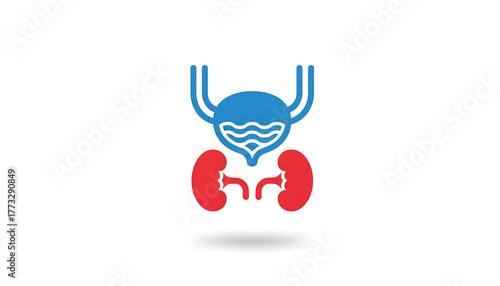 Vector illustration of prostate inflammation. Icon of urinary dysfunction. Symbol of prostate cancer, prostatitis. Sign of adeno